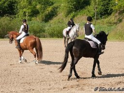 img-98551-565